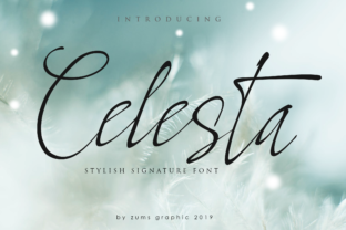 Celesta: The Script Typeface That Elevates Campaign Visuals