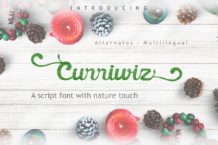 Curriwiz: The Script Amp Typeface for Clearer Campaign Visuals