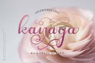 Kanaya Font Review: A Designer’s Perspective on Script Amp